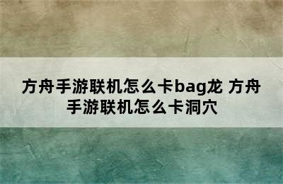 方舟手游联机怎么卡bag龙 方舟手游联机怎么卡洞穴